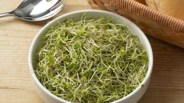 Công dụng tuyệt vời của mầm bông cải xanh và cảnh báo nguy cơ khi dùng