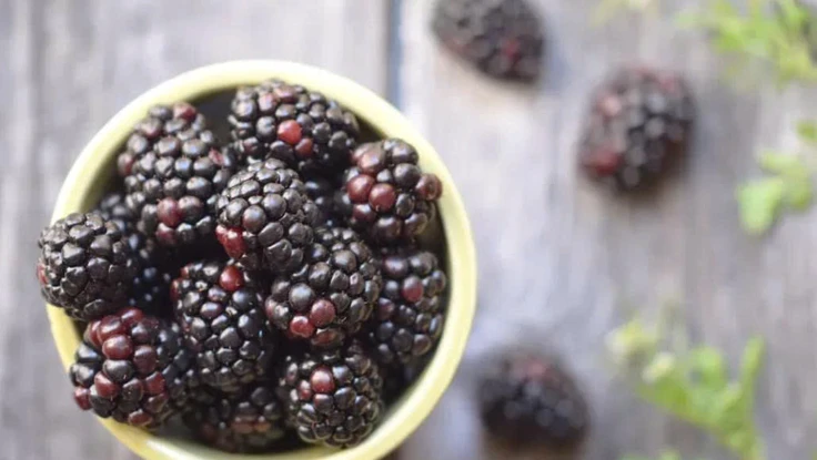 8 loại trái cây ít đường tốt cho người tiểu đường giúp ổn định đường huyết