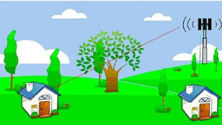 Trở thành nhà mạng chỉ với 25.000 USD