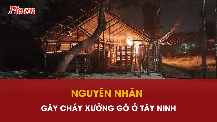 Cục sạc điện thoại dự phòng gây cháy cả xưởng gỗ