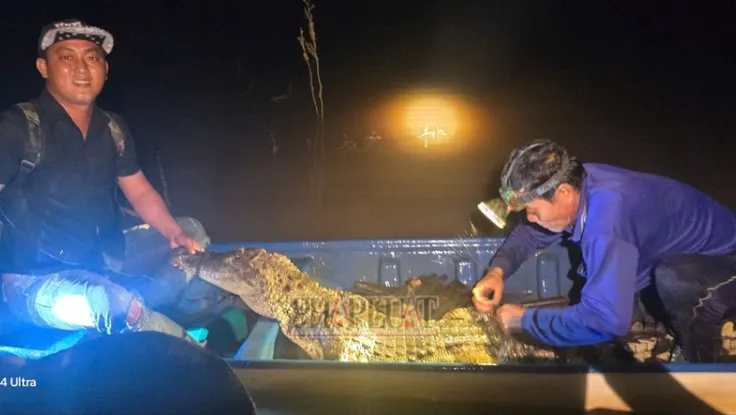 Người dân Tây Ninh bắt được cá sấu nặng 37kg trên sông biên giới