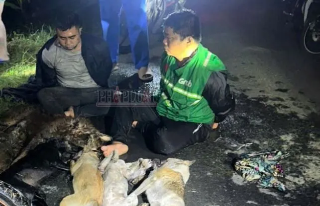 Tây Ninh: Hai kẻ trộm chó bị tóm gọn cùng súng điện và 5 con chó