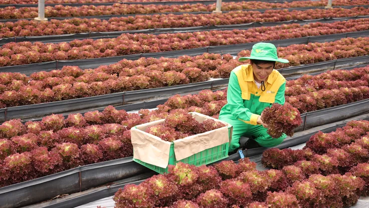 Năm thứ 4 liên tiếp Masan có tên trong Top 50 Doanh nghiệp phát triển bền vững