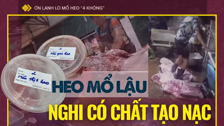Ớn lạnh lò mổ heo '4 không' - Bài 2: Lo thịt nhiễm khuẩn, nghi có chất tạo nạc