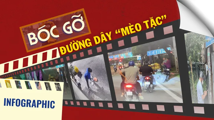 Infographic: Bóc gỡ đường dây 'mèo tặc' tại TP.HCM 