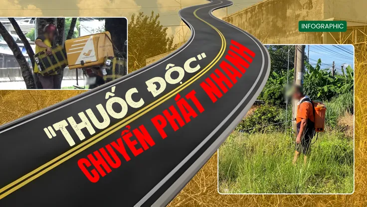 Infographic: Chi tiết đường đi của thuốc cấm đội lốt thương mại điện tử