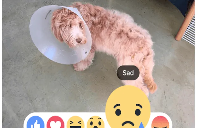 Facebook bổ sung sáu biểu tượng cảm xúc cho người dùng VN