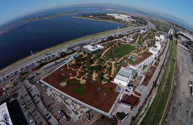 Facebook và Google sẽ sớm bị nhấn chìm bởi nước biển