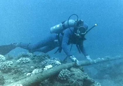 Bảo trì cáp quang biển AAG trong 5 ngày