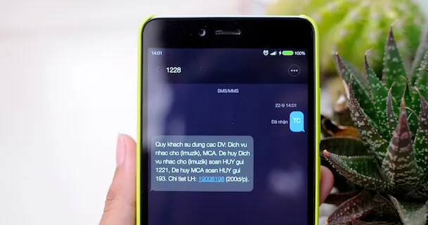 Cách kiểm tra các dịch vụ moi tiền trên điện thoại