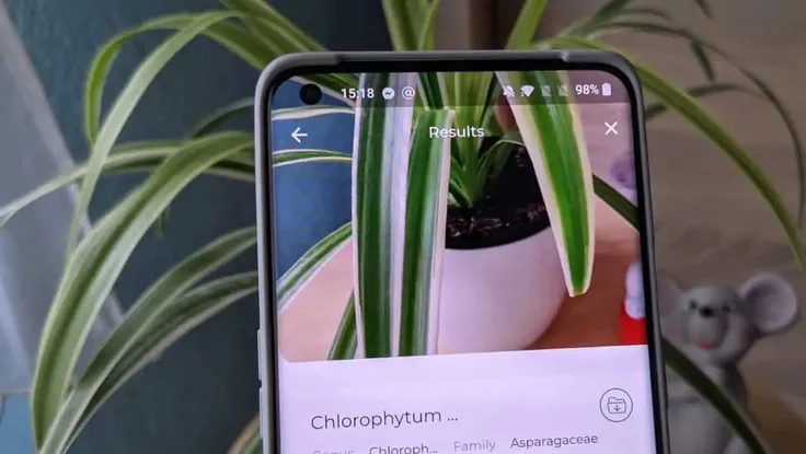 3 ứng dụng không thể thiếu với những người yêu cây cảnh