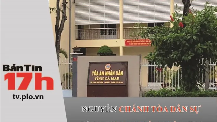 Nguyên chánh Tòa Dân sự Cà Mau bị 24 tháng tù treo