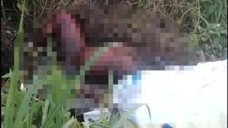 Phát hiện thi thể nam giới gần trạm thu phí đường Võ Chí Công