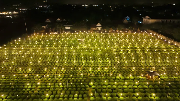 1 làng ở Quảng Ngãi thắp cả triệu bóng đèn, biến đêm thành ngày