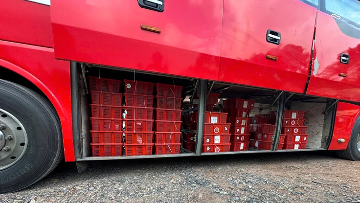 Gần 1 tấn rắn hổ mang được chở trên xe khách