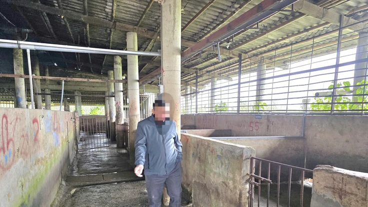 100% cơ sở giết mổ tập trung ở Quảng Trị chưa đạt chuẩn về môi trường