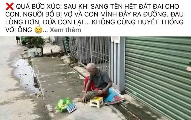 Hải Phòng xác minh vụ cụ ông hơn 70 tuổi phải sống ngoài vỉa hè giữa nắng nóng 