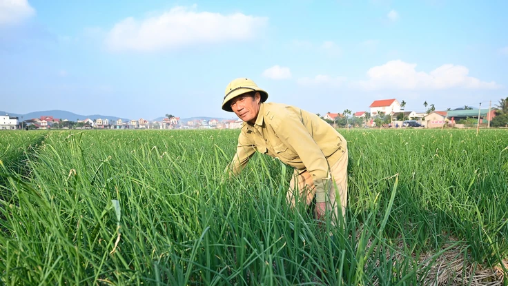 AI là đòn bẩy trong xúc tiến tiêu thụ nông sản