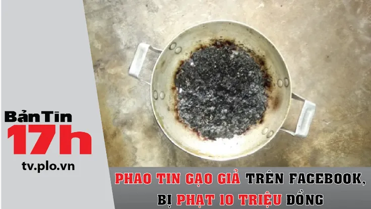 Phao tin gạo giả trên Facebook, bị phạt 10 triệu đồng