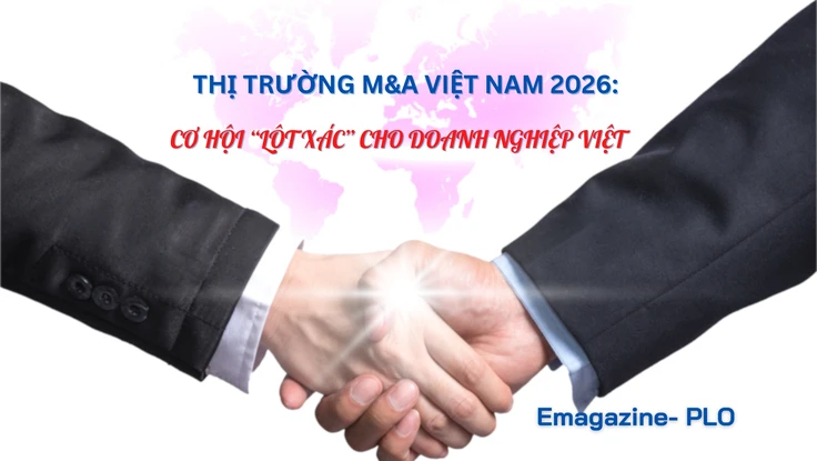 Mua bán -sáp nhập thế hệ mới: Cơ hội lột xác cho công ty Việt