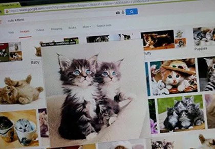 Phóng to hình ảnh trên web không cần click