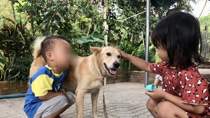 Đừng để mất tình làng xóm vì chuyện... "phân chó nhà ai?"