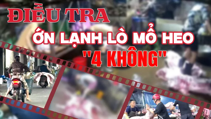 Trailer: Đột kích lò mổ heo lậu '4 không'