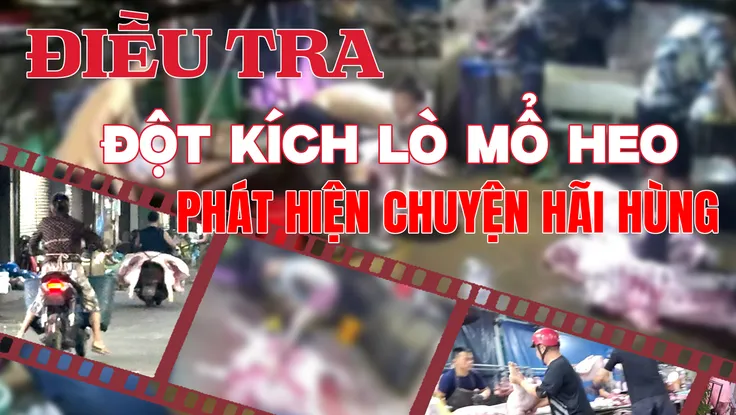 Video điều tra: Ớn lạnh lò mổ heo lậu '4 không' giữa đêm, giấy phép nào cũng không có