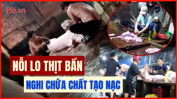 Video điều tra: Lo ngại nếu thịt heo nhiễm khuẩn, có chất tạo nạc
