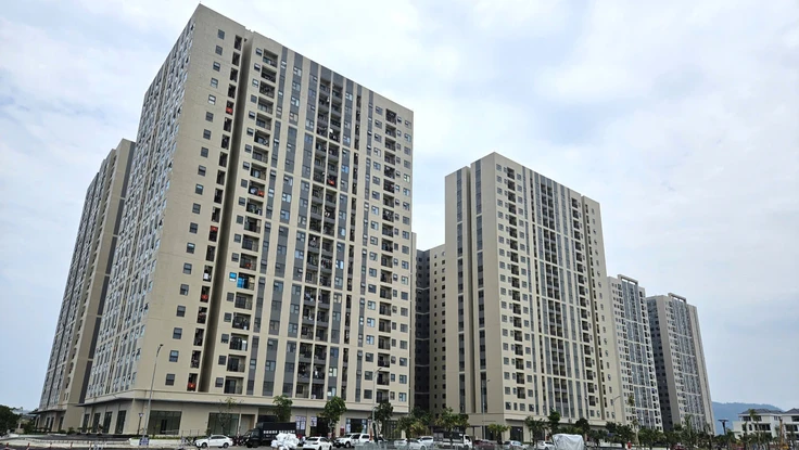 Bí thư Đà Nẵng làm Trưởng ban chỉ đạo chính sách nhà ở, bất động sản