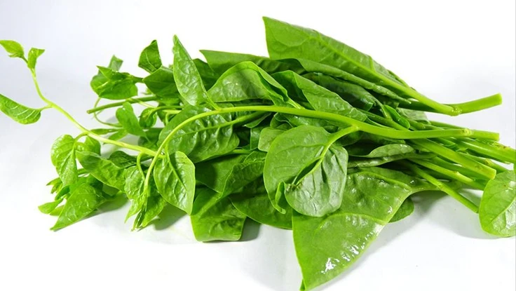 Rau mồng tơi tốt nhưng không phải ai cũng nên ăn