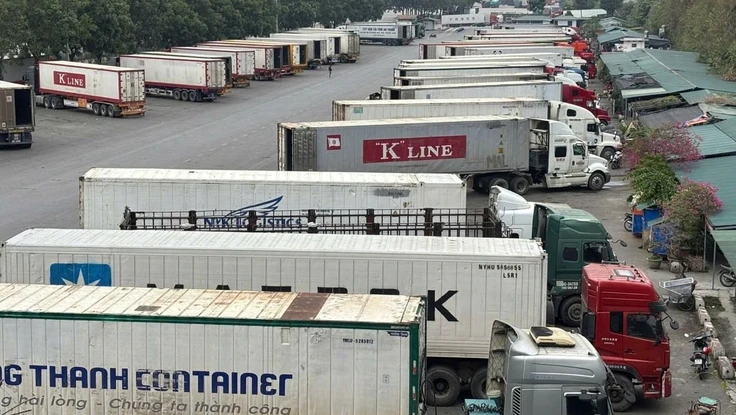 Chính thức: Tạm ngưng hiệu lực Nghị định 46 về an toàn thực phẩm