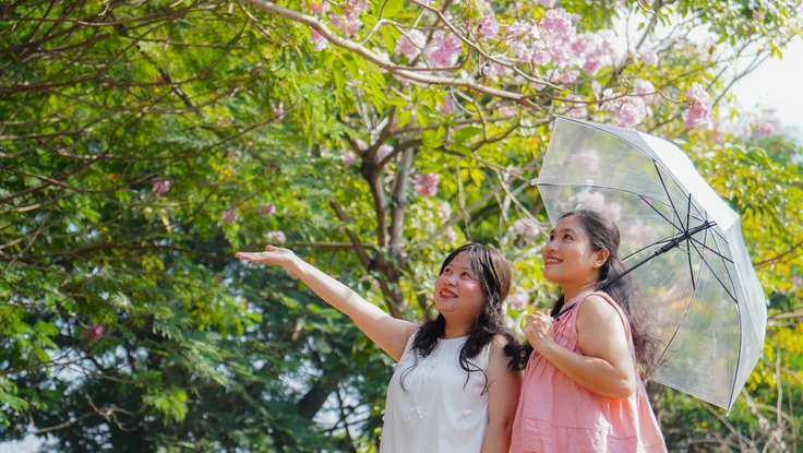 Hoa kèn hồng khoe sắc, nhuộm hồng các tuyến đường trung tâm TP.HCM 