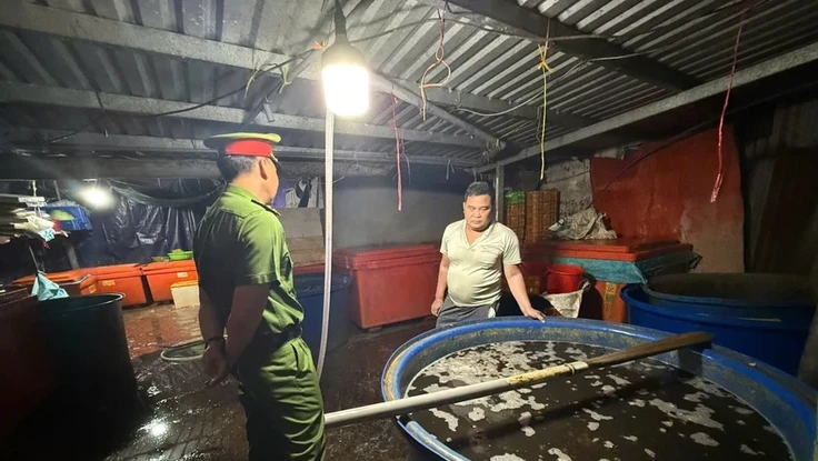 Vụ 3.000 tấn ốc ngâm 'thủy tinh lỏng': Những vấn đề pháp lý và nguy cơ sức khỏe