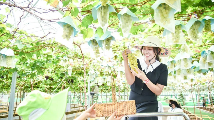 Vì sao du khách Việt ‘quay xe’ với du lịch ngoại, chọn ở lại trong nước dịp Tết?