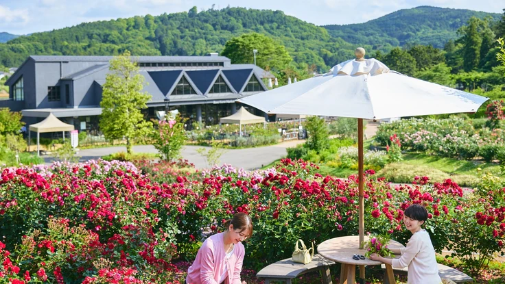 Còn dư địa lớn để thúc đẩy tour đến Nhật Bản