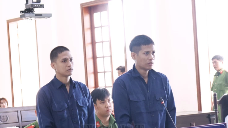 Chỉ vì ánh đèn xe, 2 anh em sát hại tài xế xe container