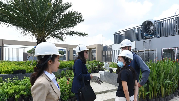 Nhịp phục hồi mong manh của bất động sản