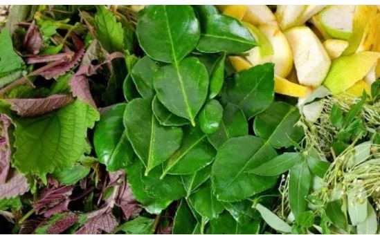 Xông lá, không phải cứ bệnh là xông