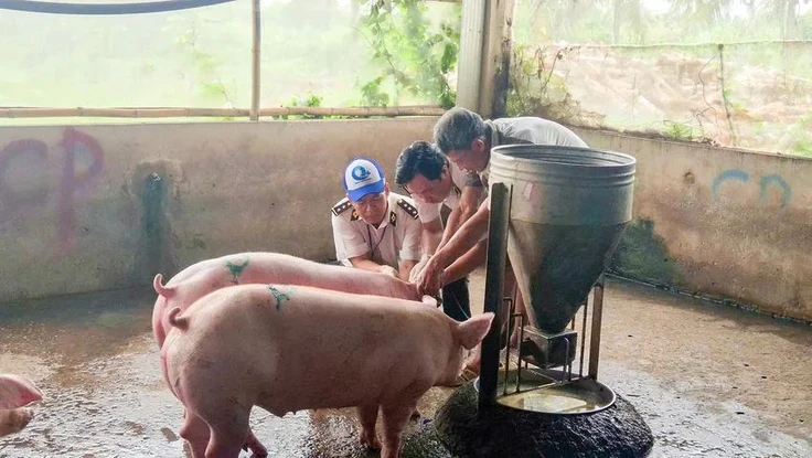 Chung tay chặn nạn giết mổ '4 không' vì bữa ăn sạch cho cộng đồng
