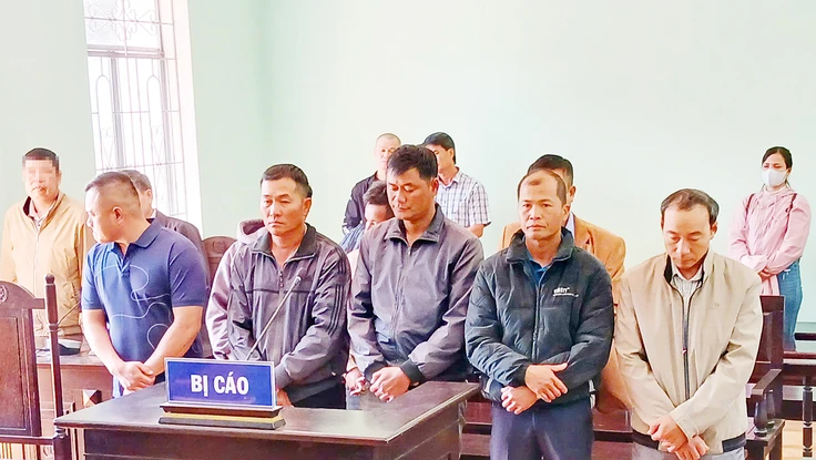 3 nhân viên bảo vệ rừng nhận tiền để cho khai thác rừng trái phép