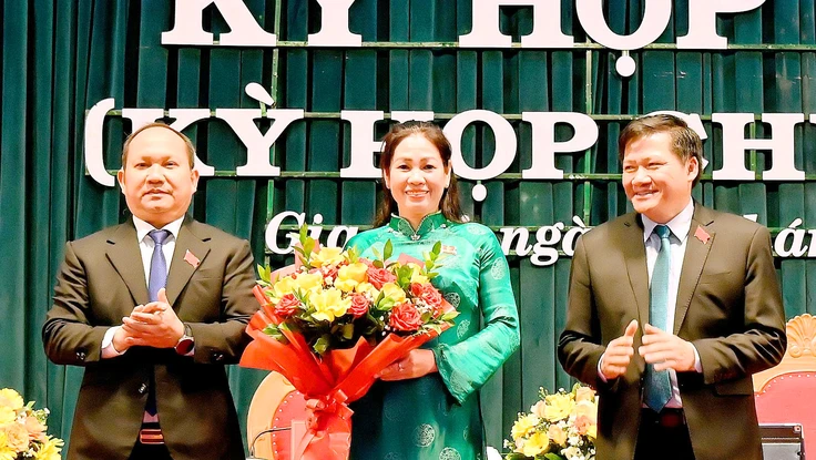 Gia Lai: Miễn nhiệm chức vụ phó chủ tịch UBND tỉnh và bầu một trưởng ban 