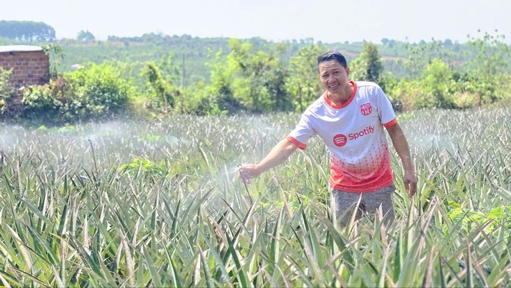 Nông dân Gia Lai vượt 'bão' giá dầu nhờ điện mặt trời