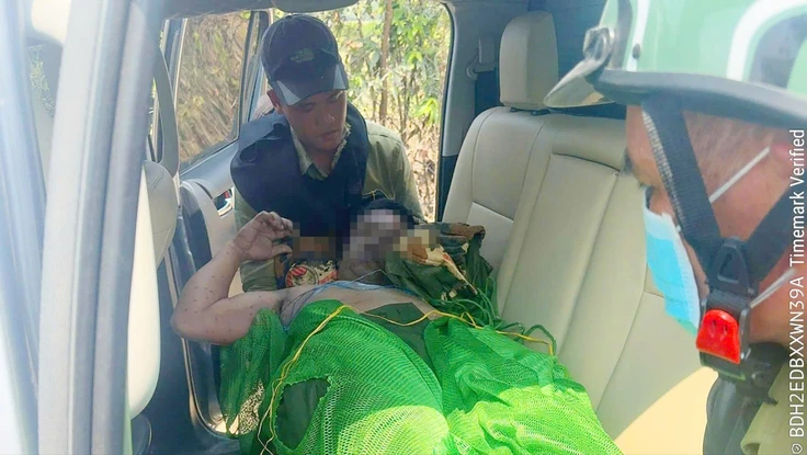 Tuần tra rừng, 5 người bị ong đốt thương vong