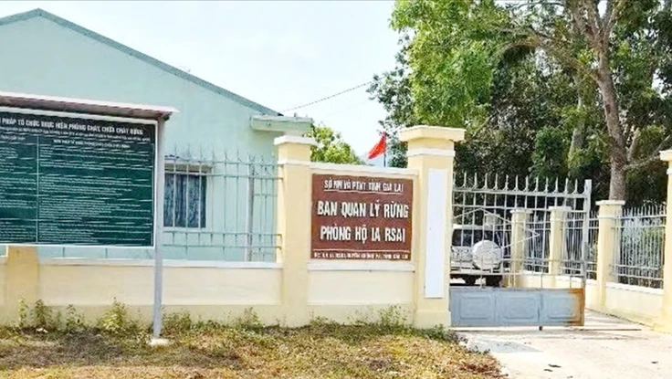 Bắt tạm giam 1 trưởng ban quản lý rừng phòng hộ ở Gia Lai