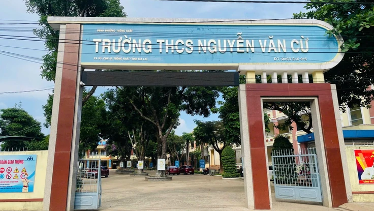 UBND tỉnh Gia Lai giao công an xác minh, xử lý vụ nam sinh lớp 8 bị tấn công bằng rìu