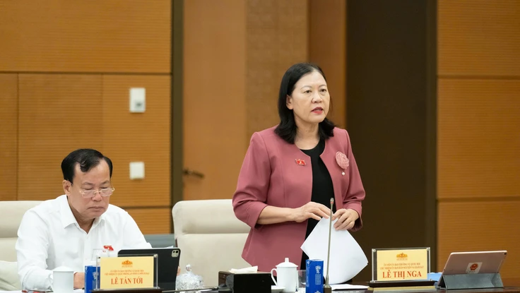 Bà Lê Thị Nga: Nguồn luật sư công khó bảo đảm tính khả thi