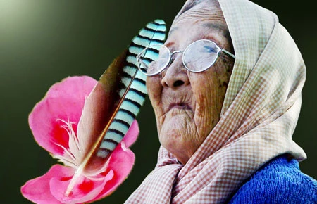 Một bài thơ giàu