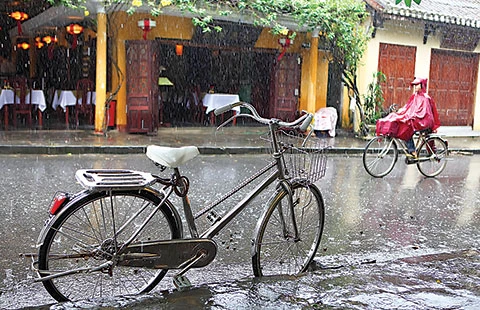 Phố có vui không!