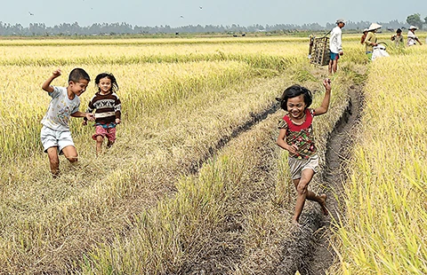 Ăn tết ngoài đồng